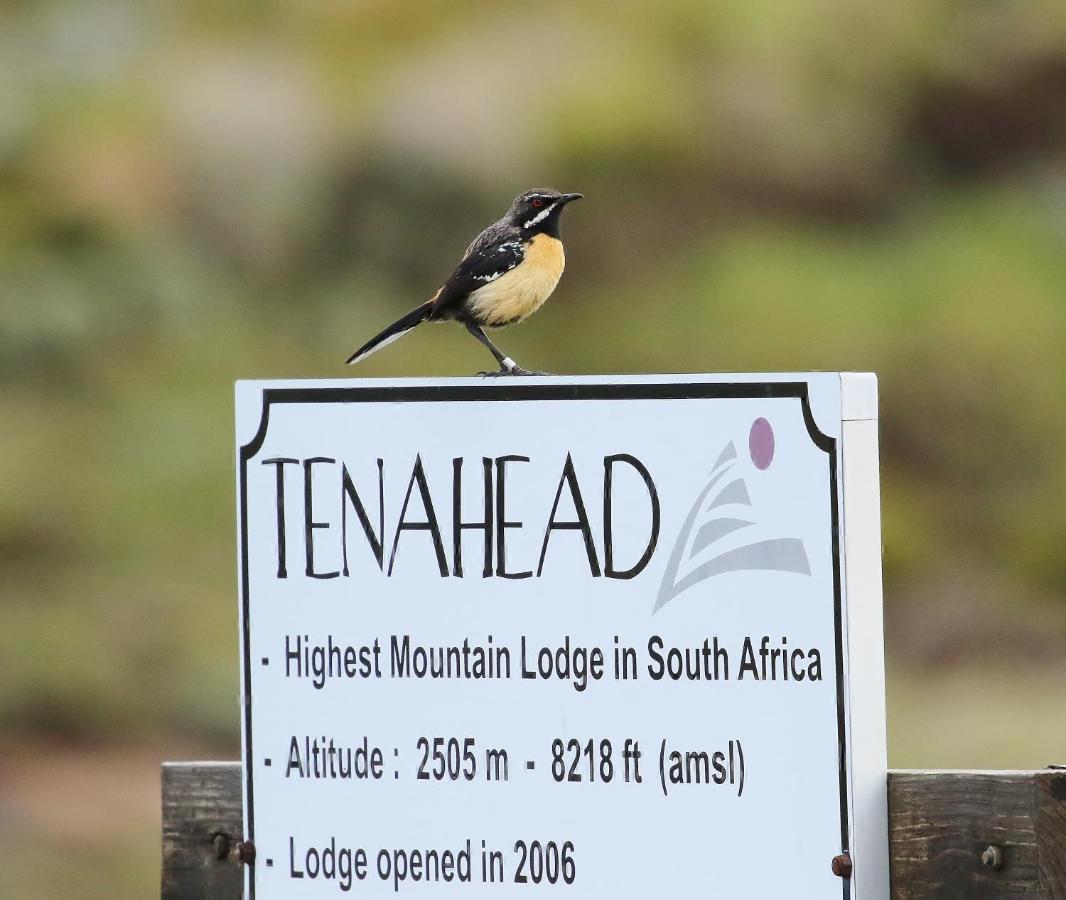 Tenahead Lodge & Spa Rhodes Buitenkant foto